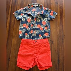 12-18m tropical set